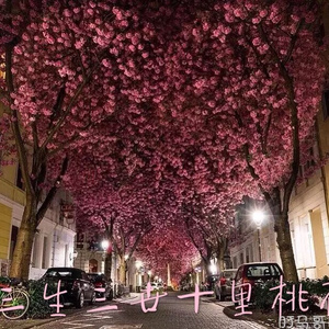 13女学生脱了内裤开始亲热
